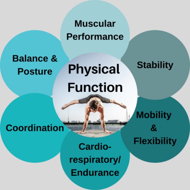 The Six Key Aspects of Physical Function