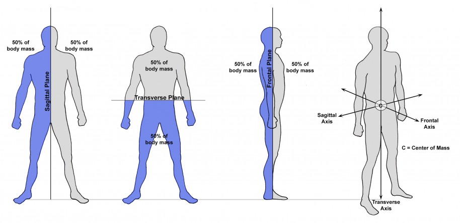 The Cardinal Planes and Axes of the Body