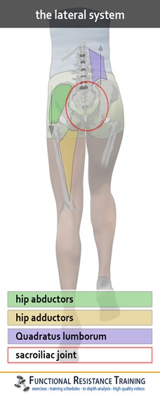 The Lateral System