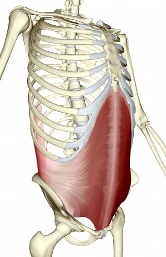 Transversus Abdominis