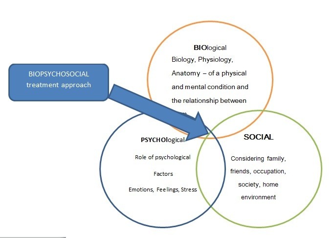 The Integrated Biopsychosocial Model