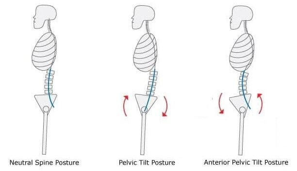 Mechanisms of the Pelvic Tilt