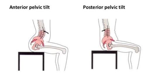 Pelvic Tilts