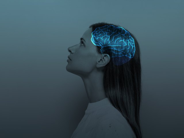The Nervous System - An Introduction