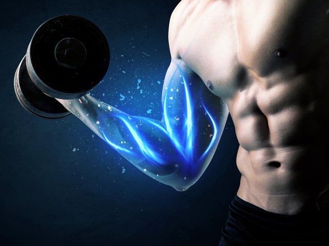 Muscles: Pulling Your Weight